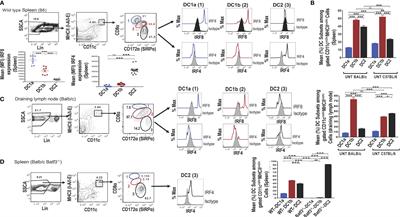 Identification of Two Subsets of Murine DC1 Dendritic Cells That Differ by Surface Phenotype, Gene Expression, and Function